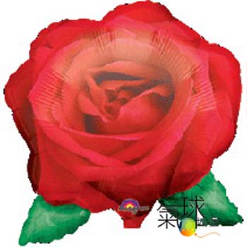 002-大紅玫瑰69公分寬64公分高/充氣300元