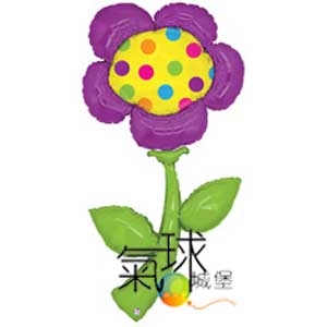 015.347-60"新鮮的精選-菊花150公分高Fresh Picks™ Daisy(花朵，春天及適合母親節使用)/含充氦氣580元