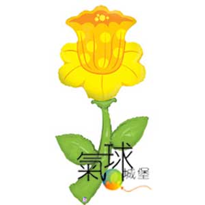 015.348-60"新鮮的精選-水仙150公分高Fresh Picks™ Daffodil(花朵，春天及適合母親節使用)/含充氦氣580元